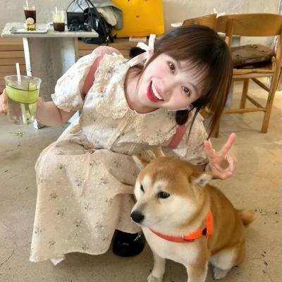 国家代表